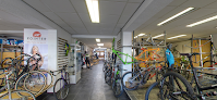 Negocio Bikeboutique Rob Akkermans