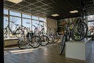 Negocio Forza Fietsen® Roden