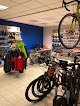 Negocio Giant Store Arets
