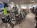 Negocio Giant Store Venlo