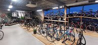 Negocio Scholten Cycling