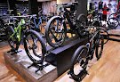 Negocio Specialized Kerkrade
